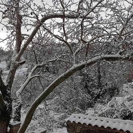 Βίλα Αρμονία Ορεινή Κορινθία Krionérion Dış mekan fotoğraf